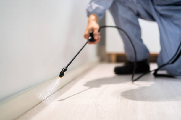 Licensed Pest Control service in Ridge Wood Heights, FL - Show Me Pest Control