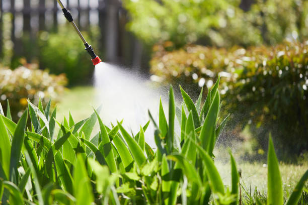 Tamper-Resistant Bait Stations for Rodents in Ridge Wood Heights