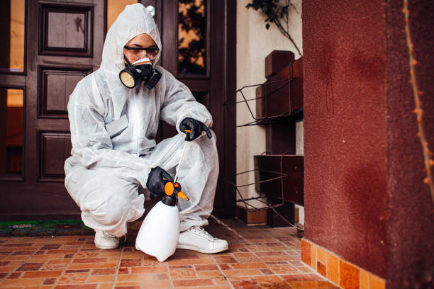 Attic and Crawl Space Rodent Treatment in Ridge Wood Heights