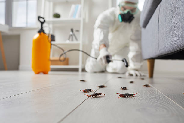 Commercial Rodent Management in Ridge Wood Heights
